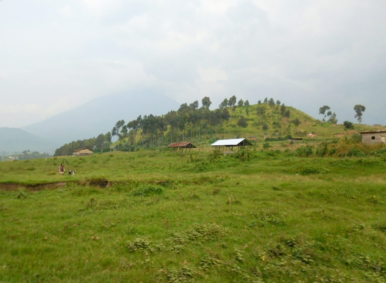 DRC Landscape, DSCN0056