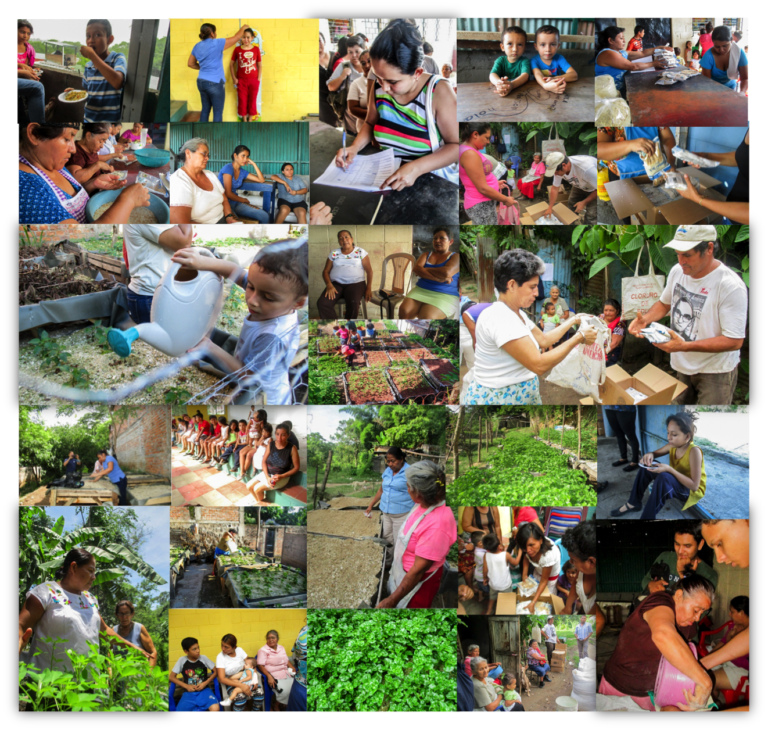 El Salvador: Hydroponic Gardens